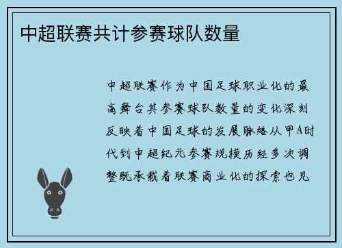 中超联赛共计参赛球队数量